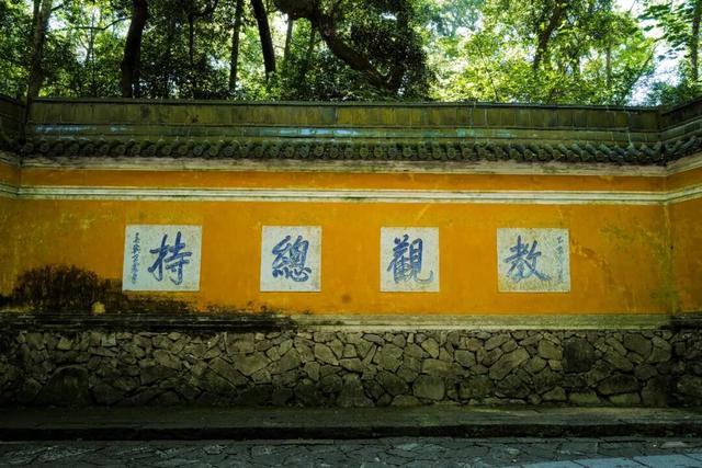 南北方温差大蹦迪？但这个城市正是出游好时候！