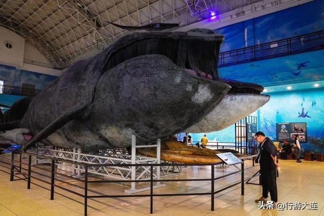 太冷不想多吹风？跟着大连这条地铁线，一路吃喝玩乐逛起来