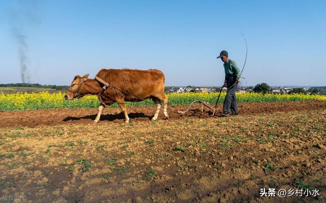 今年哪天入九？哪天出九？冬天会特别冷吗？答案来了