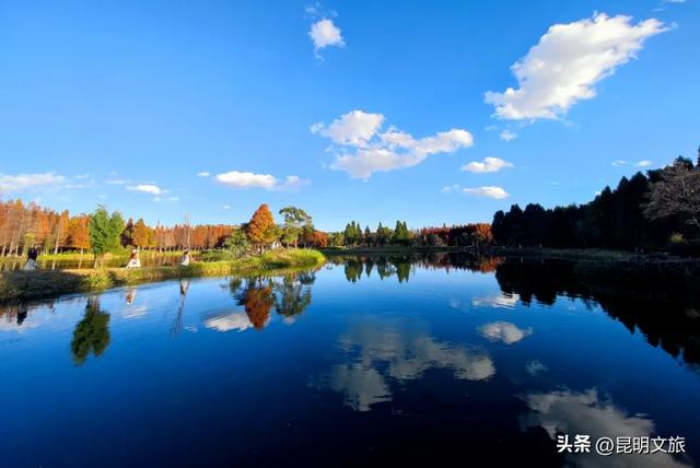 “红”爆！是谁还没有Get昆明的冬天？你知道12月的滇池有多绝？周末冲~