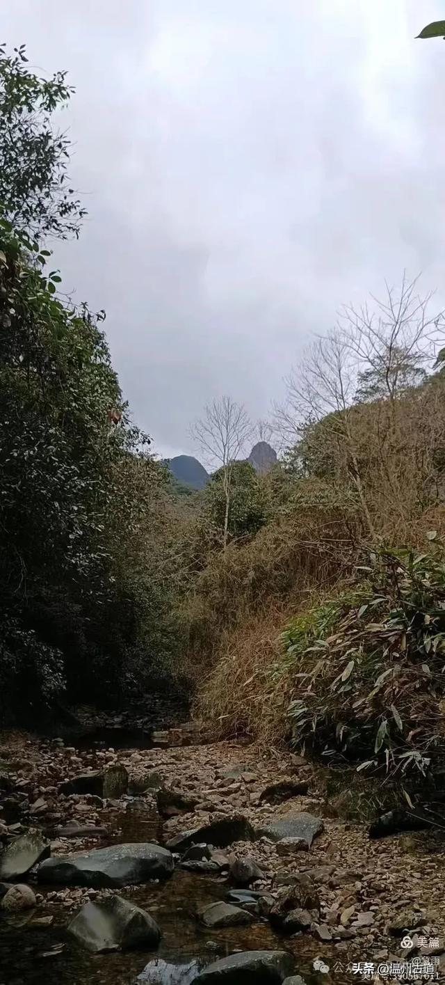 探秘楠溪江源头，深山中的秘境！