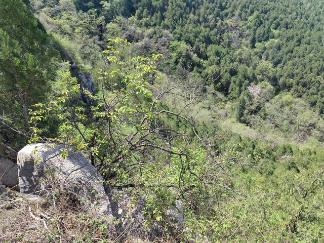 济南彩石蟠龙山森林公园，要休闲要清净要空气清新要清凉。不要钱