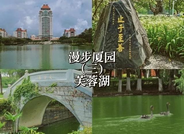 全国十大最美校内湖盘点
