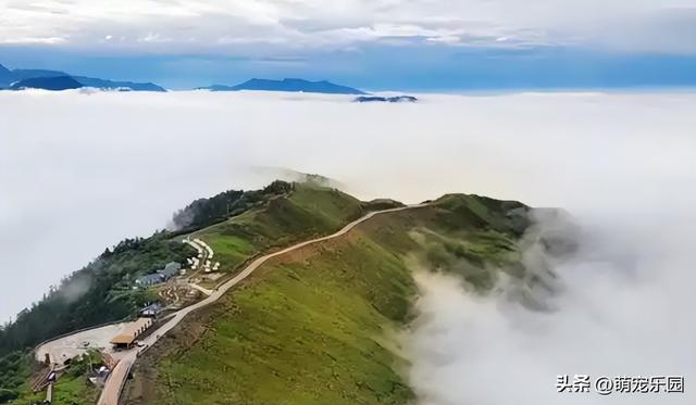 达瓦更扎看云海翻腾，神仙居岩石诉说远古故事，长廊成流动油画