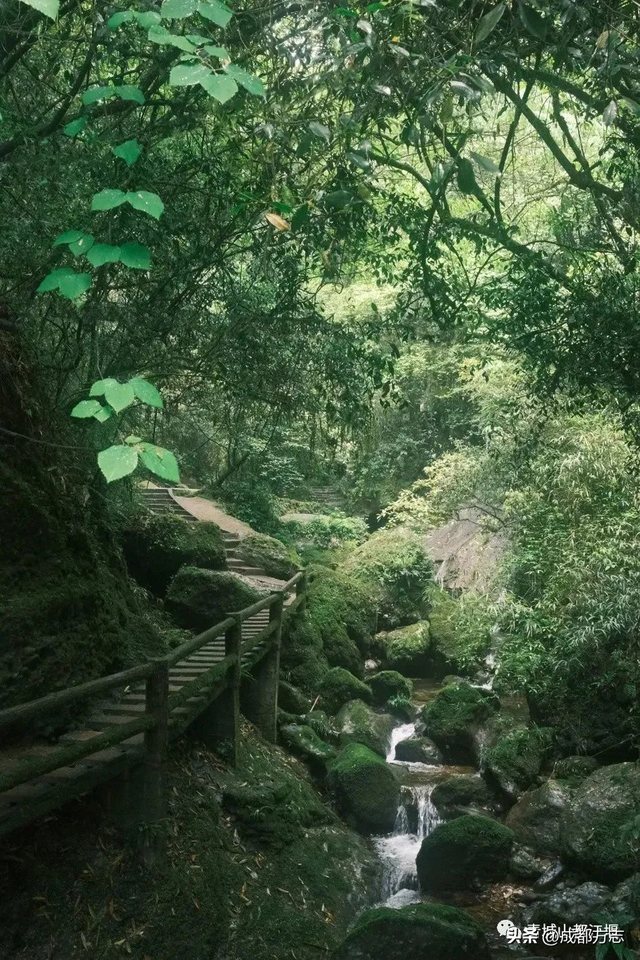 还有谁！比青城山和赵雅芝还绝配