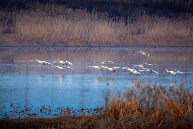 很多人没去过！渭南氛围感拉满的4个秘境