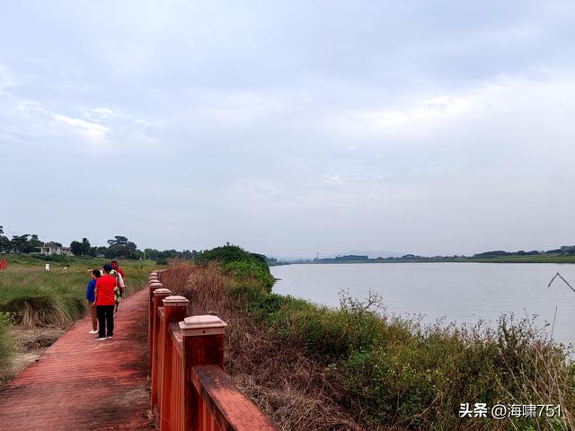 佛山三水芦苞花海生态公园