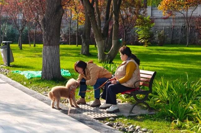 七里河畔晨光好 文明城市气象新