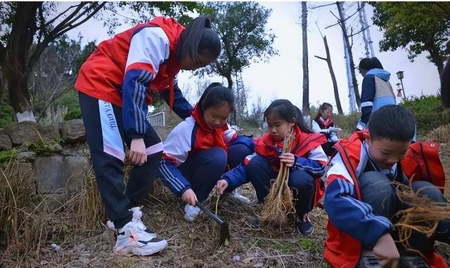 教育部扔下重磅炸弹：2026年开始，全国一律不准再买校外商业试卷