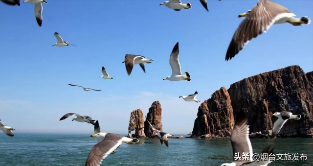 【乐游烟台】走出你的“浪浪山”，跟小妖怪一起去长岛转转！