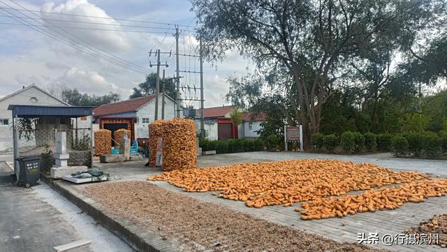 【行摄滨州】沾化古城现状