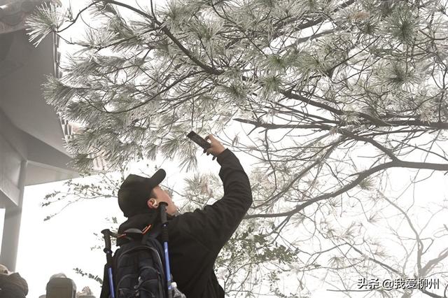 古亭山顶变成冰雪世界！公园提醒市民上山赏景要注意安全