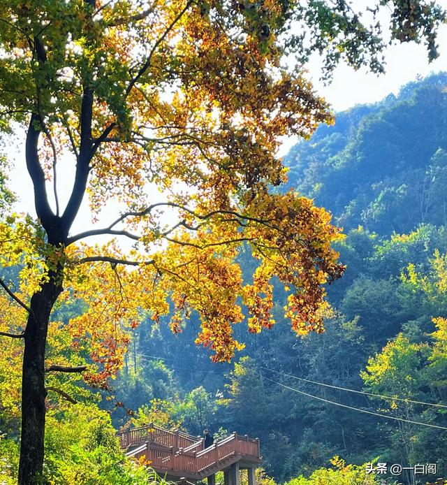 江南香山——天台·南黄古道