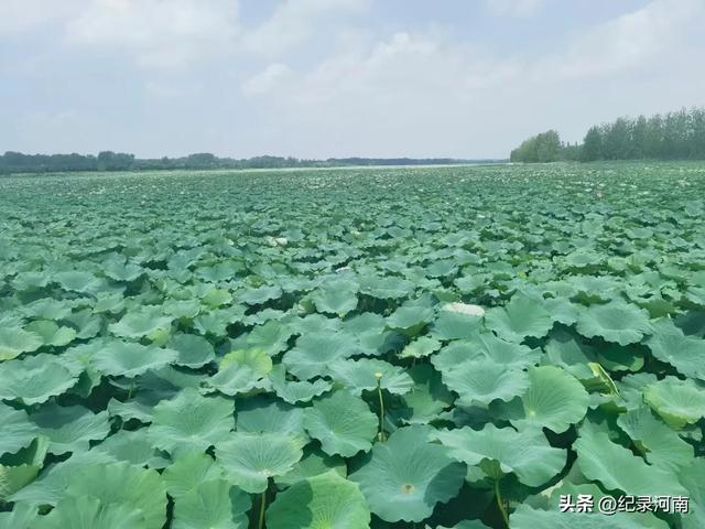 近在咫尺的河北，美在深处待探寻