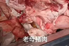 网友实名举报学校营养餐配送中存在问题猪肉！重庆秀山县教委发布最新声明图片