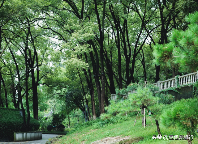 重庆万州漫游记：山水人文美食四日游攻略