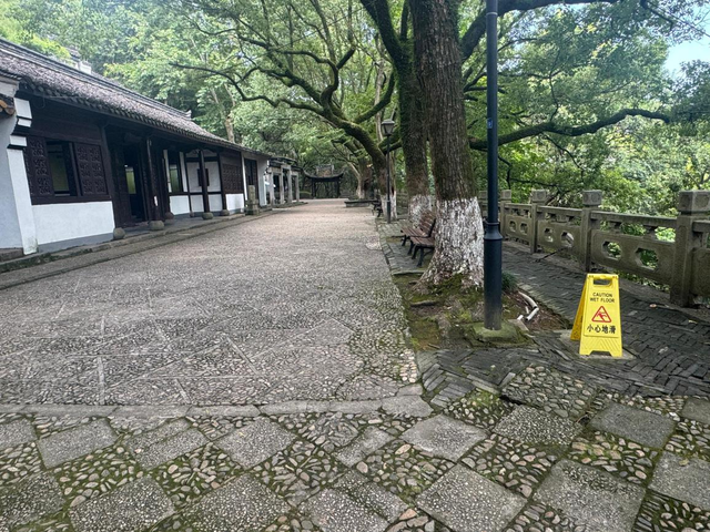 公园路面长青苔致游客滑倒，除“癣”有啥好办法？