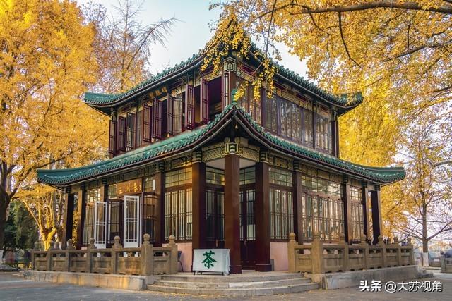 南京的浓颜是枫叶林给的！18个机位+时间点，避开人潮拍出大片