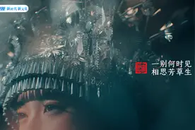 为啥红豆配相思，绿豆却配王八?图片