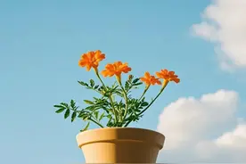 人老了才明白，不孝的子女，多半有这3种特点，要是早知道就好了图片