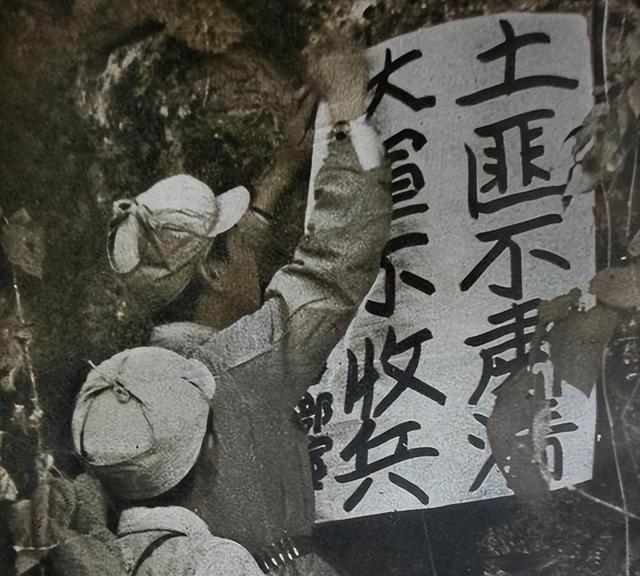 1950年，我军去尼姑庵剿匪，发现一尼姑胸脯大，又见一幅画不寻常