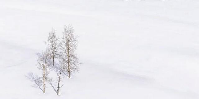 阿勒泰冬日独白