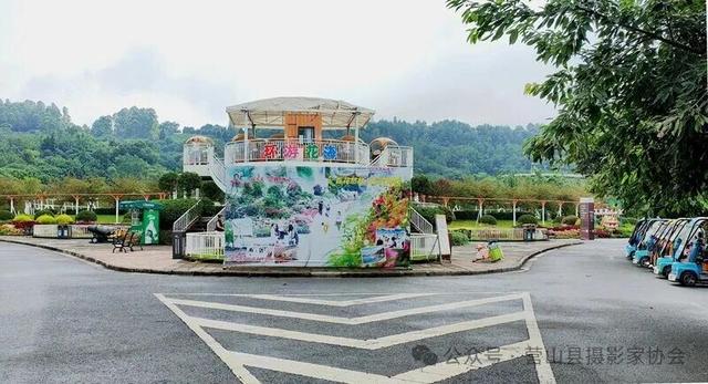 李永辉：寻芳“花舞人间”