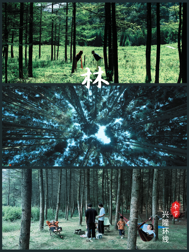 朋友圈都问疯了，真不是国外，这是22℃的奉节！