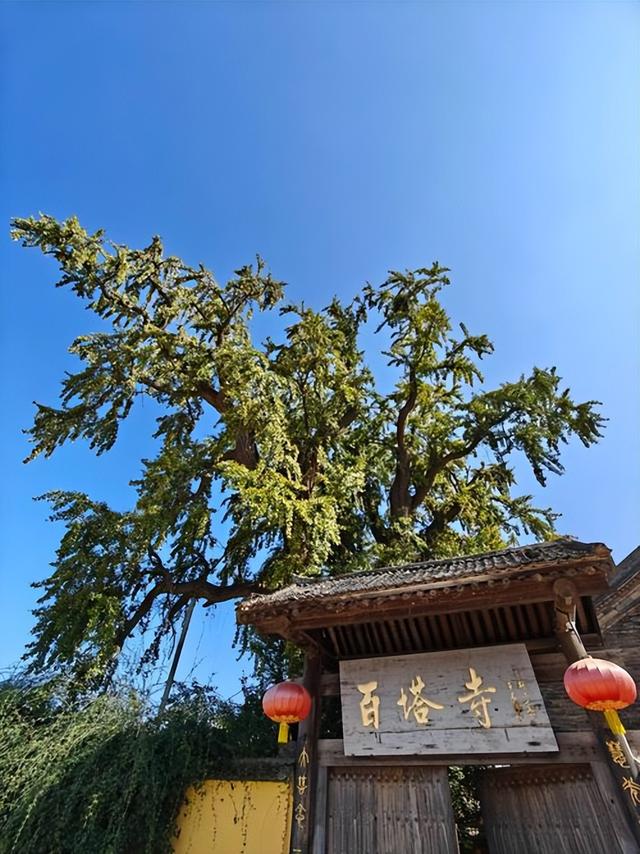 藏在秦岭天子峪里的低调古刹，1700年银杏为伴无商业化知道在哪吗