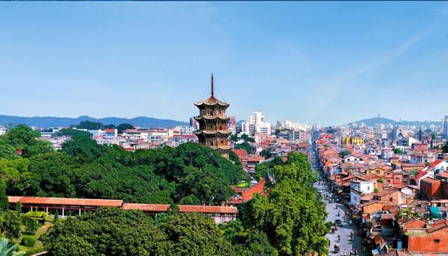 姚晨同志个人简历