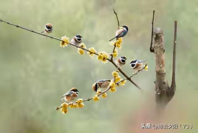 海口人骂海口？生在福中不知福
