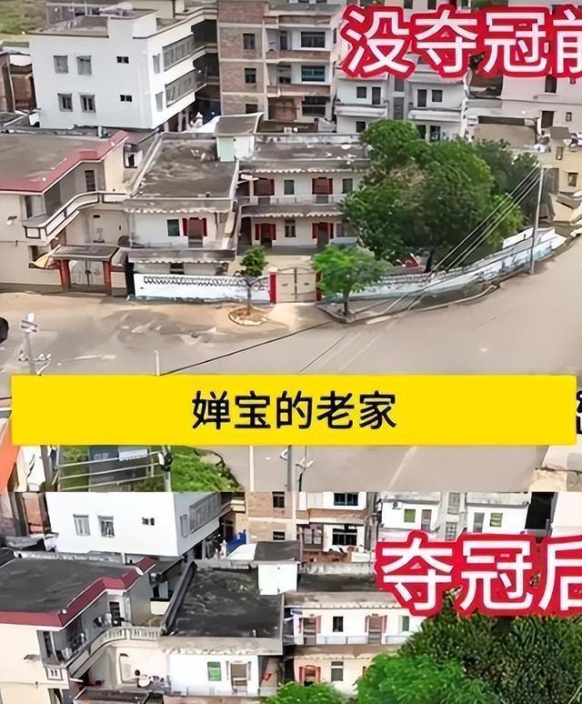关系藏不住了！全红婵近况曝光，原来她和王俊凯是这样的关系