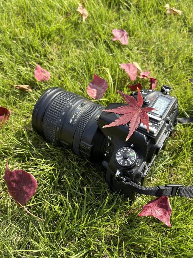 拜托，这真的很好看啊…