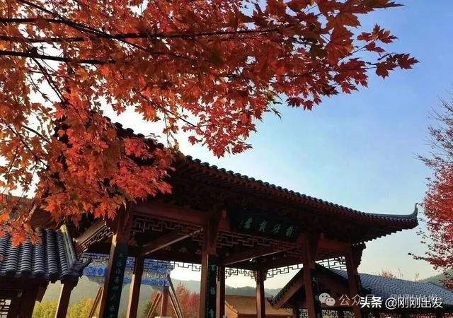 免费！大连横山景区枫叶最佳观赏期到了，快来打卡吧