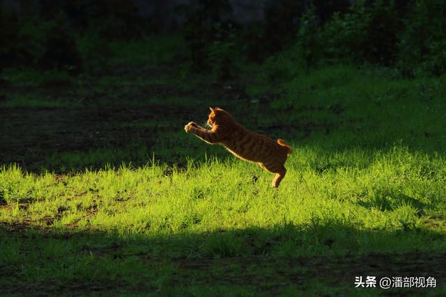 巴蜀石窟：内江东林寺摩崖造像