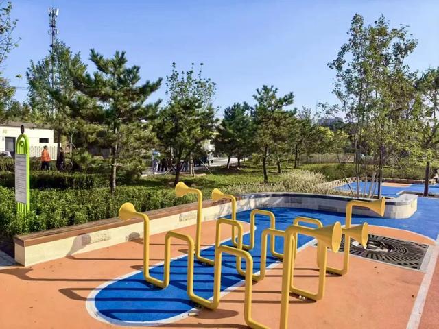 157亩绿地对外开放!丰台又添“治愈系”空间,就在——