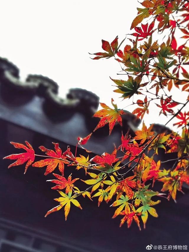 博物馆秋之旅丨与金秋相遇，这里有最美的古都秋色！