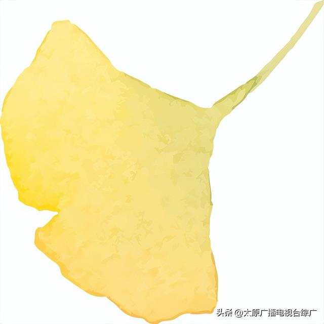 秋日“逃离”城市计划|天龙山石窟