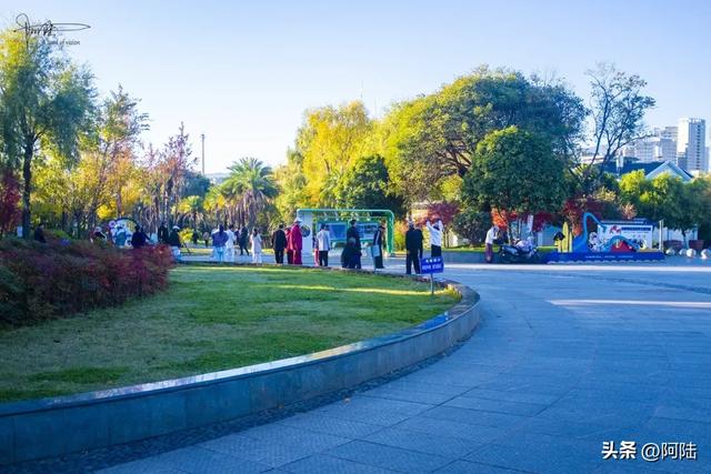 寻找大理海西的最美绿道，色彩缤纷秋意盎然，目测已经开始落叶啦