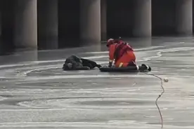 辽宁葫芦岛 一老人被困大桥下冰面图片