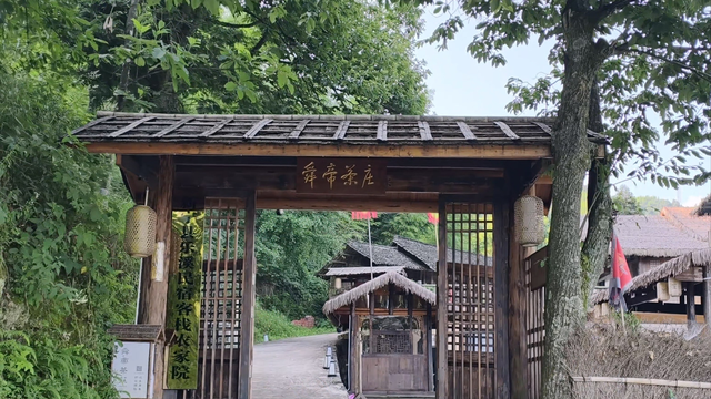 舜帝三临的"南方植物王国"：藏着长征记忆与千年茶香的"大山里"