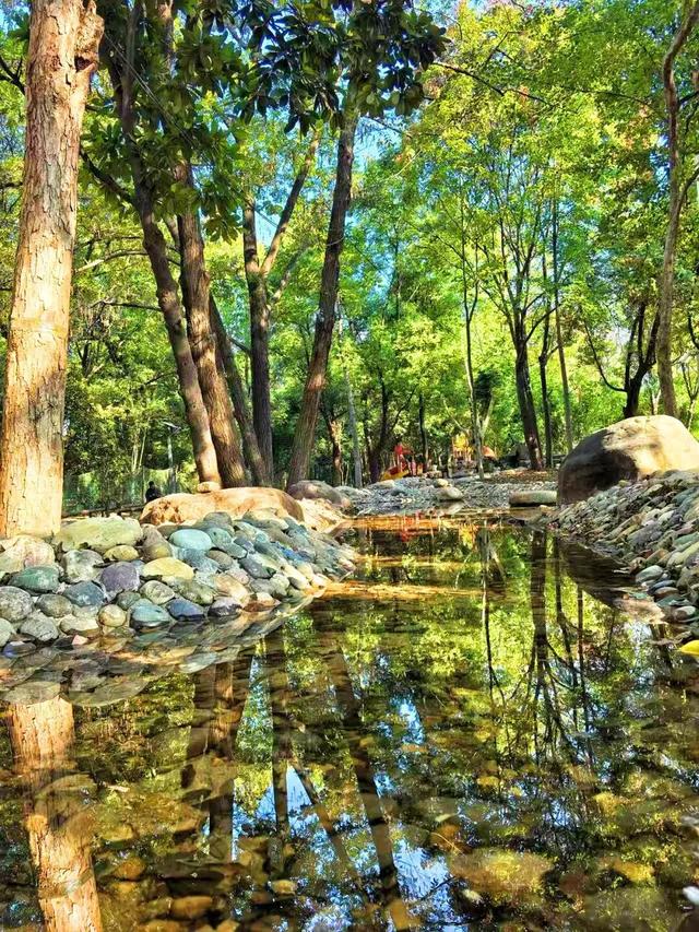 硚口区“就地取材”激活小微空间 育苗基地变身“森系”游园 市中心就能畅快体验:森林溯溪 + 露营 + RC越野