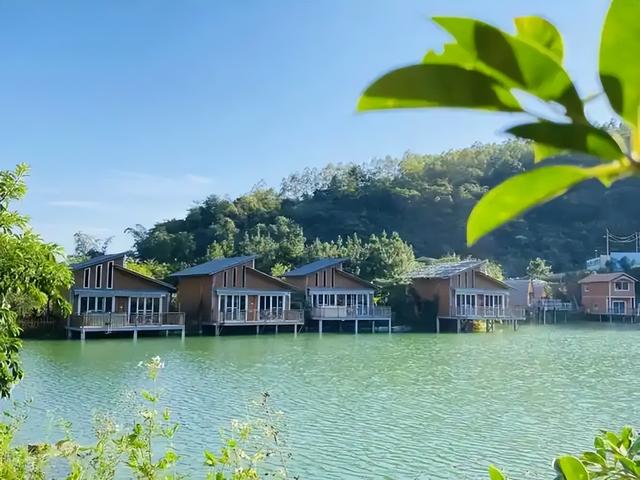 万亿文旅收入背后，安徽做对了什么？广西又为何栽了跟头？