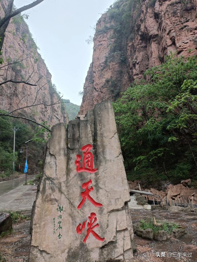 无为在歧路，2025之经行