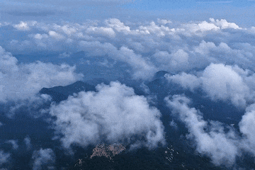 游客呼吁“免门票”延期，潍坊景区：OK！