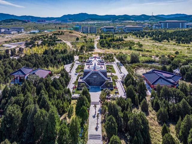 中医药、温泉、养生阿胶，济南的“康养密码”在这里！