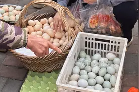 鸡蛋选大的好还是选小的好？养殖户不小心说漏了嘴，以后别瞎买了图片