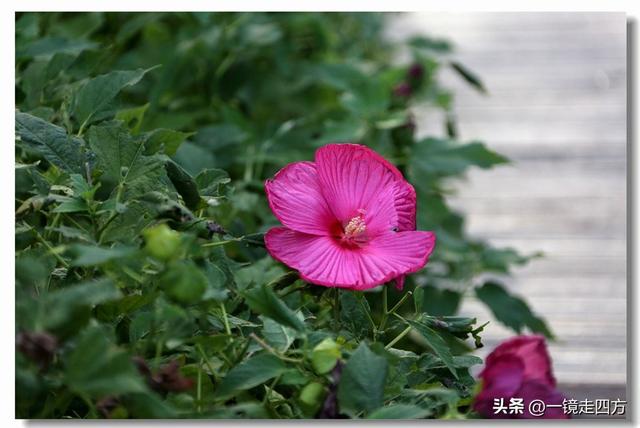 大连滨海路终点的海之韵公园