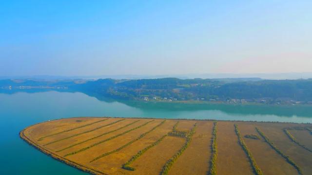 7分钟，“瞰”沱牌！