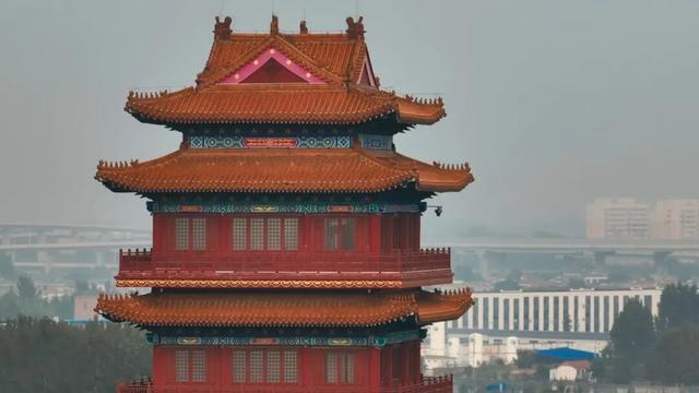 济宁初冬的凤凰台植物园美到犯规